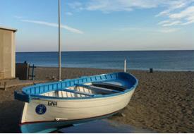mare