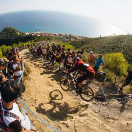 31154021358-0173dcb110-o