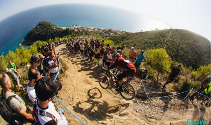 31154021358-0173dcb110-o