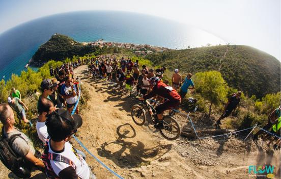 31154021358-0173dcb110-o