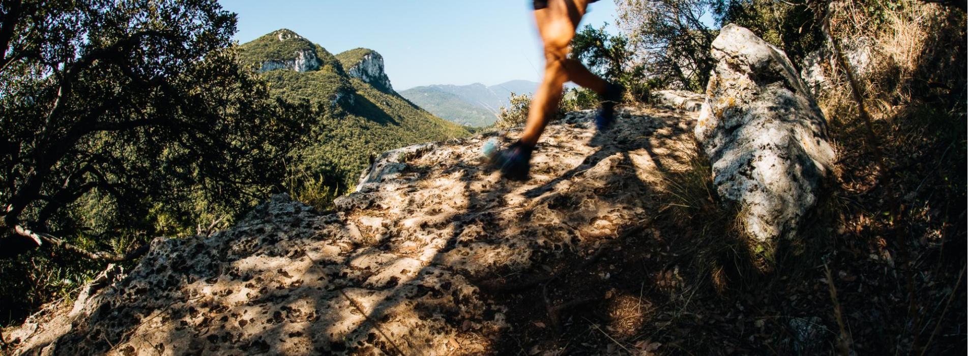 44978735242-f1c55c5153-o