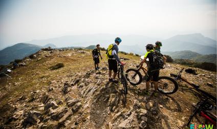 37338183476-1e5c42a240-o