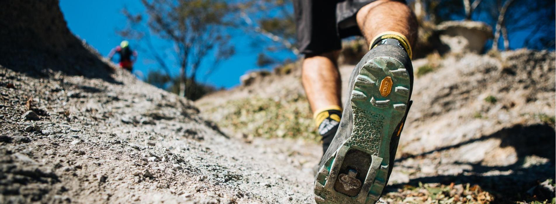 44953485272-6a8612352d-o