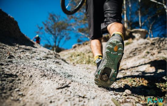 44953485272-6a8612352d-o