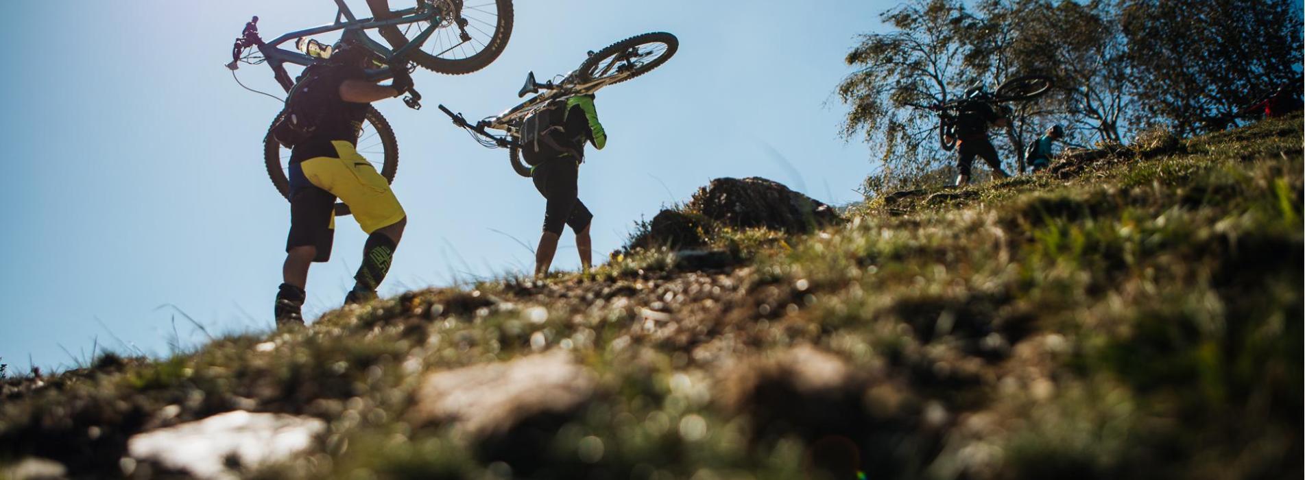 44091011955-61df5d1c69-o