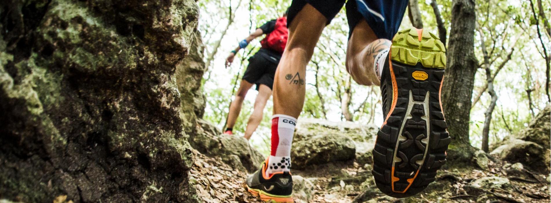 37447342605-6cf11beb74-o