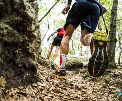 37447342605-6cf11beb74-o